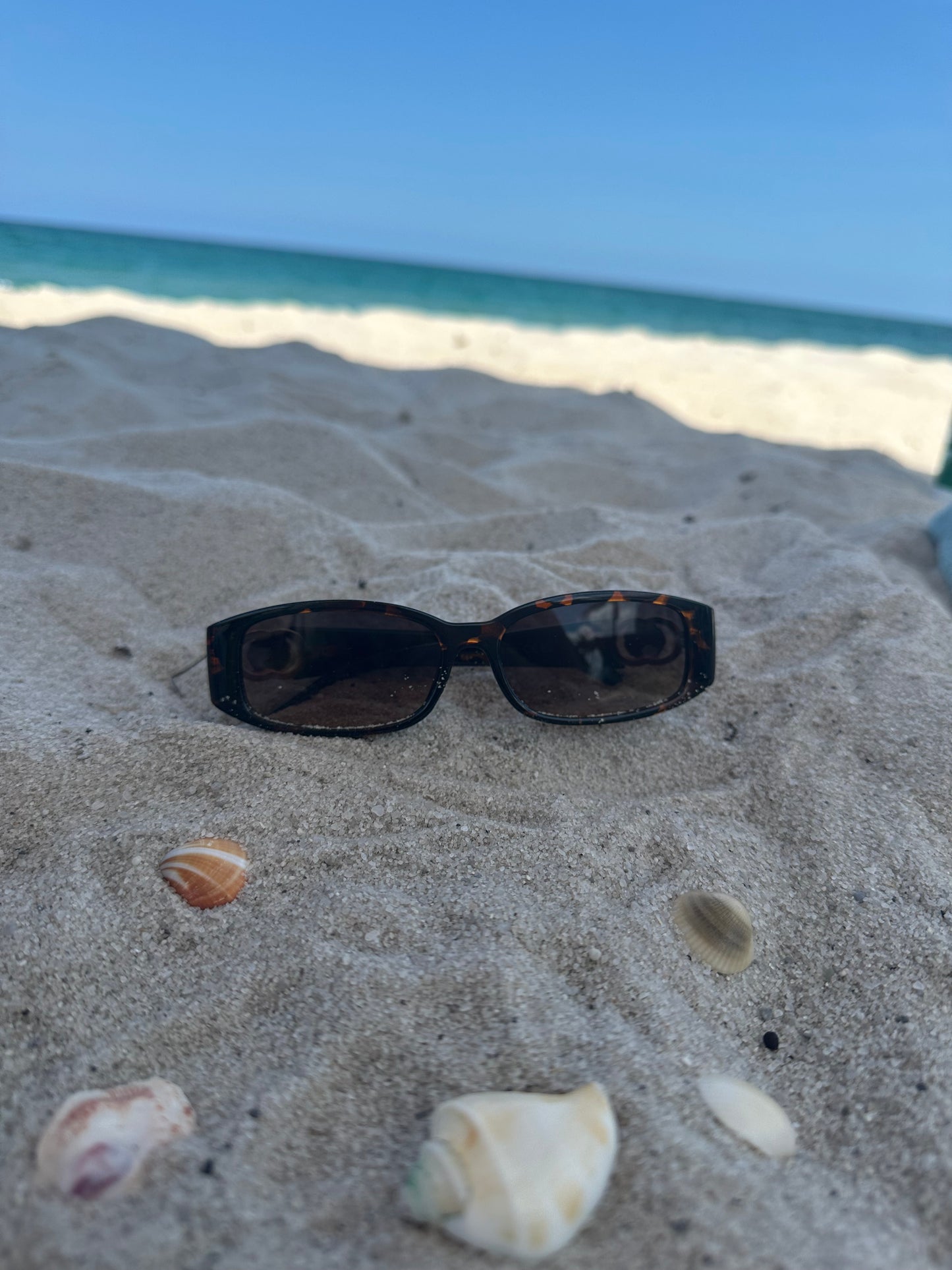 Two Ring Flower Hinge Brown Color Block Sunglasses