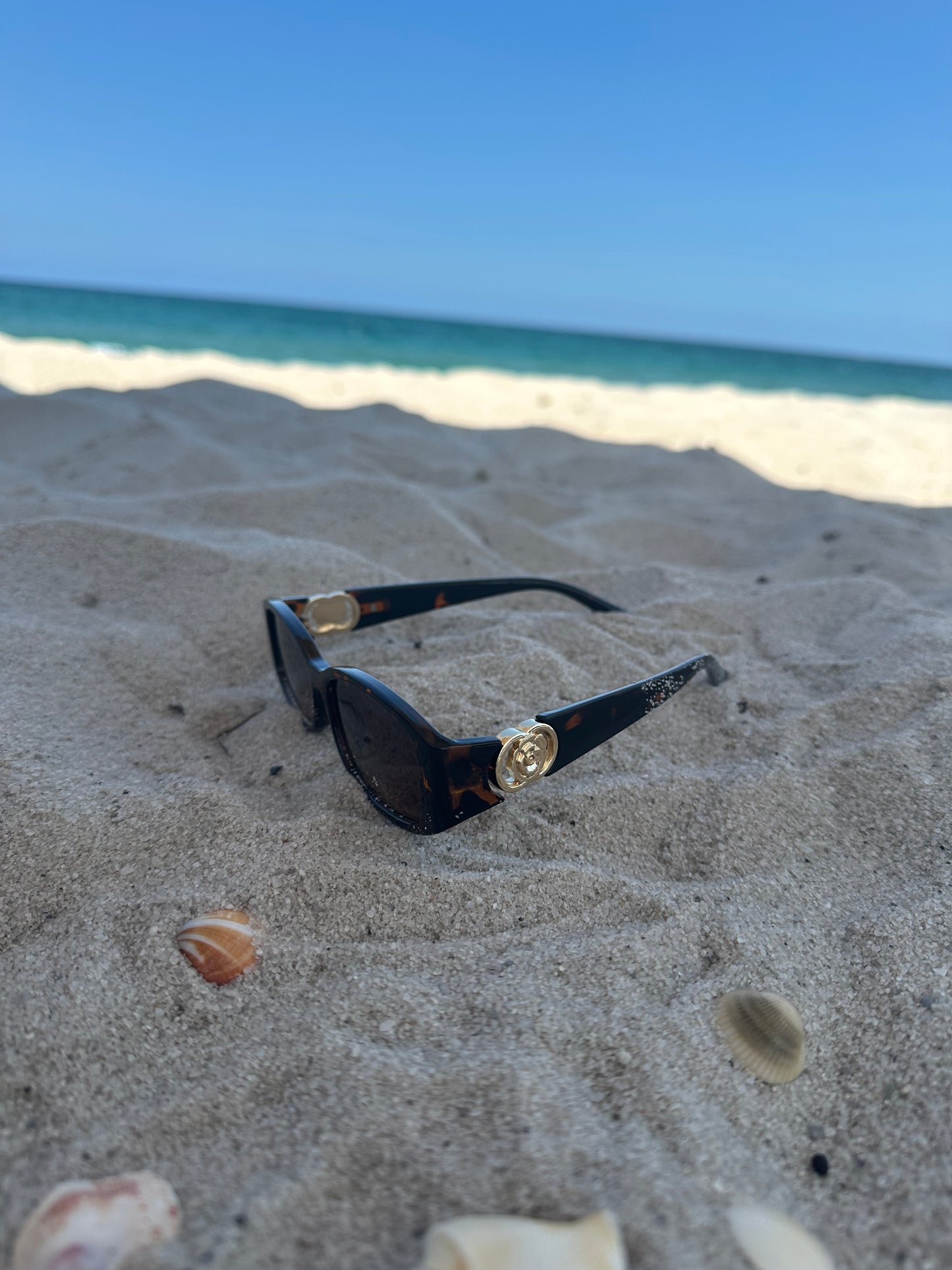 Two Ring Flower Hinge Brown Color Block Sunglasses