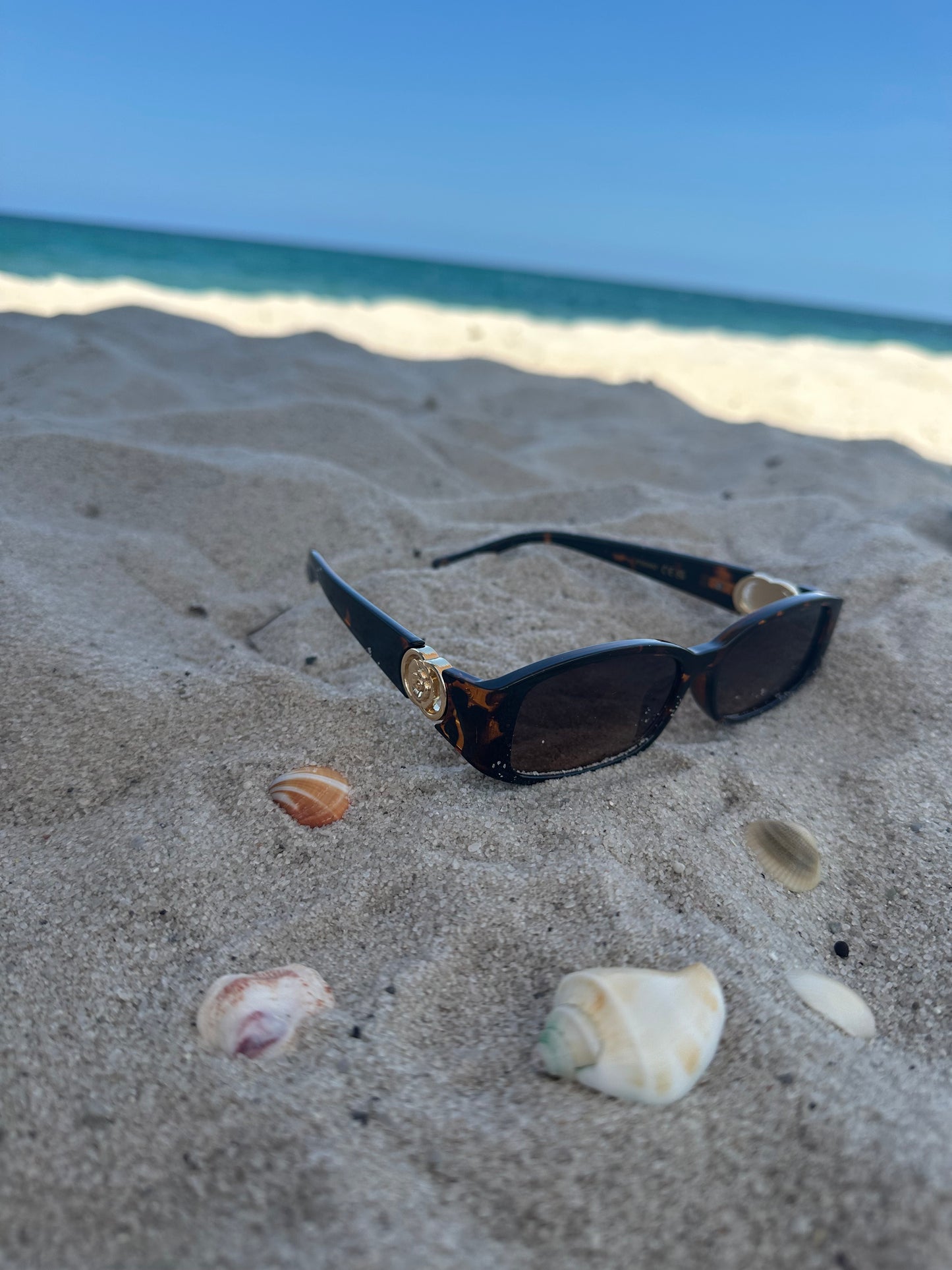 Two Ring Flower Hinge Brown Color Block Sunglasses